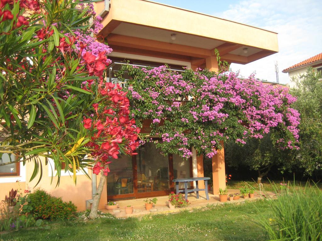 Apartman Lavanda Kali Exterior photo